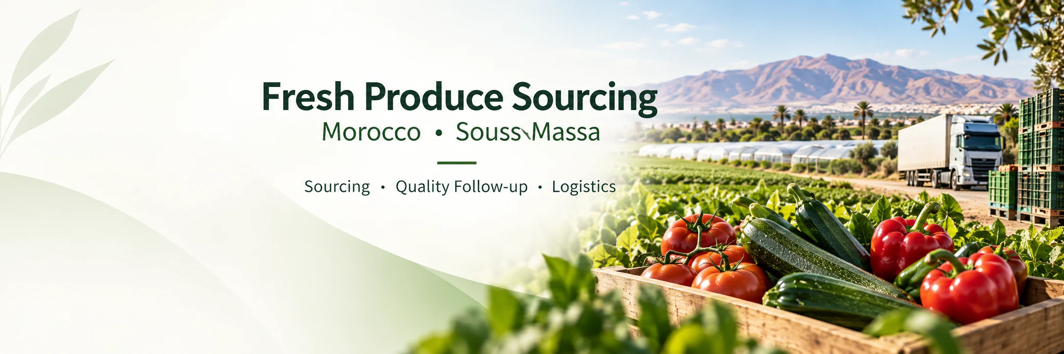 Agricultural sourcing visual representing Souss-Massa